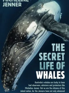 The Secret Life of Whales by Micheline Jenner