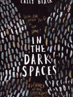In The Dark Spaces by Cally Black