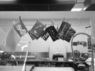 Workshop - Cyanotype Printing